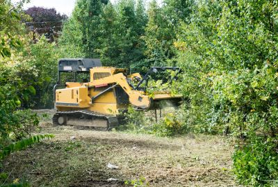Pasture Clearing in Atlanta, GA