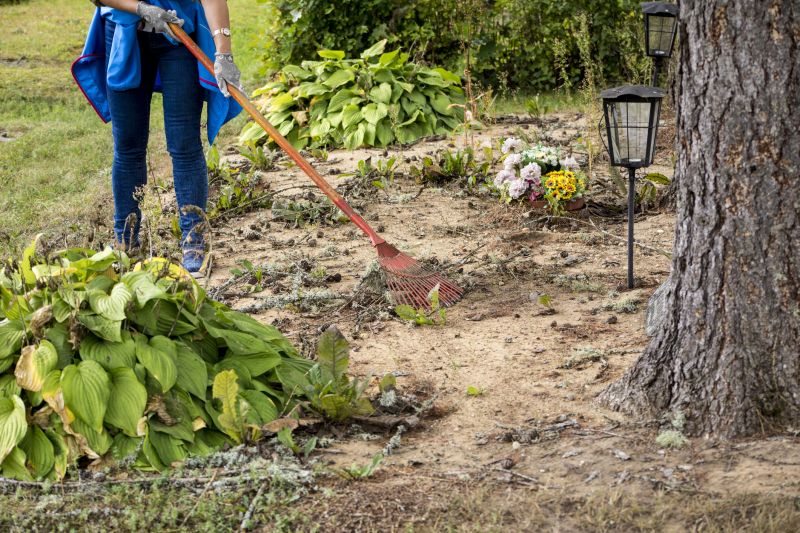 Undergrowth Removal in Salt Lake City, UT